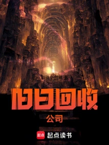 旧日回收公司 小说