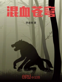 血苍穹浑天宝鉴
