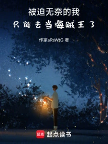 只能去当海贼王了小说下载