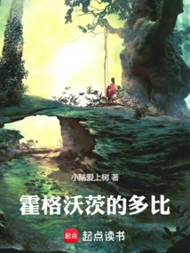 霍格沃茨收几人