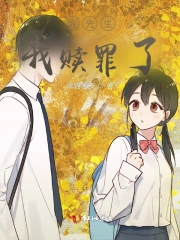 厉先生小说