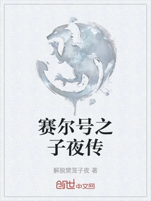 赛尔号之深夜明月