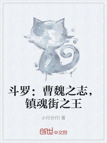 斗罗:曹魏之志