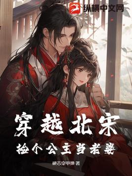 穿越北宋:捡个公主当老婆 硬芯穿甲弹