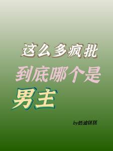 这么多疯批到底哪个是男主小说
