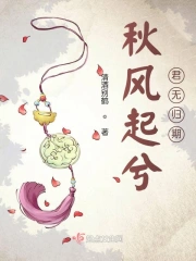 秋风起待你归