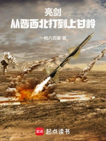 亮剑:从晋西北打到上甘岭(1-173)