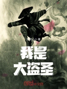我就是大盗贼