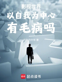 在影视世界的小说