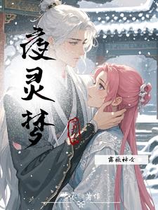 夜灵梦瑶小说