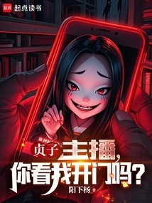 你看我开门吗小说