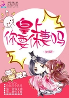 皇上你要休妻吗小说