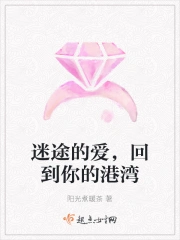 迷途的歌词歌曲