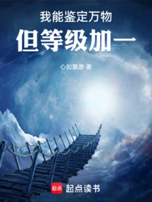 但等级加一笔趣