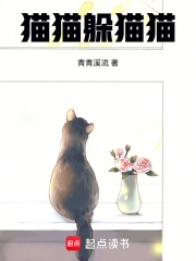 猫咪躲猫猫游戏