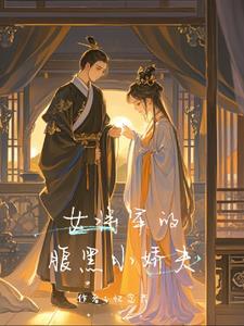 女将军宠夫的小说