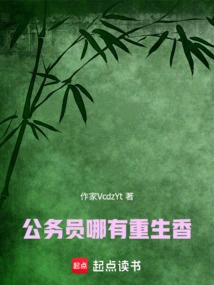 重生做个公务员