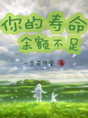 剩余寿命总和tx如何计算