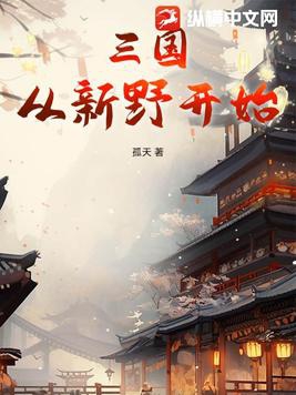 三国:从新野开始 孤天