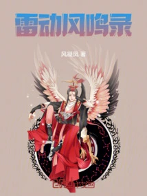 雷动风鸣录