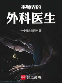 巫师界的外科医生小说