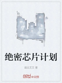 绝密芯片计划