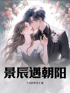 景辰是哪部小说的主人公