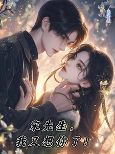 宋先生我头痛小说