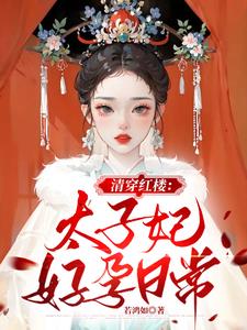 清穿红楼太子妃好孕日常小说