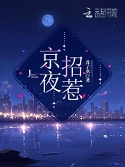 京夜招惹沈如清小说更新时间