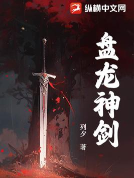 盘龙神剑小说