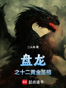 盘龙之十二黄金圣格免费阅读下载