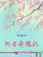 阿芳的遭遇第28节