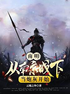 我要反清复明的小说