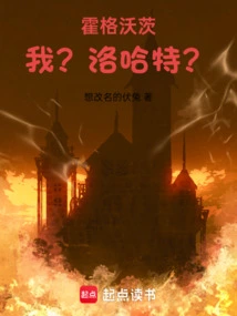 霍格沃茨：我？洛哈特？