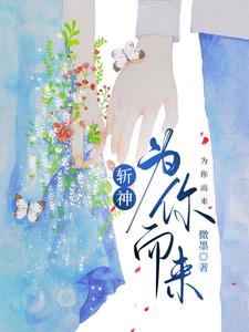 主角是假面骑士斩月的小说
