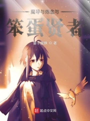 魔导与炼金与笨蛋贤者怎么打