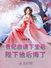 贵妃娘娘请自重 369章放下
