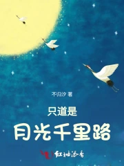 只道是月光千里路
