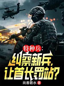 特种兵之范天雷带队救人小说