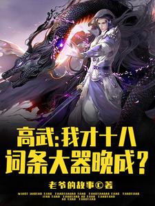 十七岁封王 小说