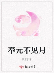 奉元不见月