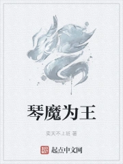 琴魔小说