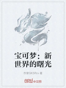 精灵宝可梦新世代游戏