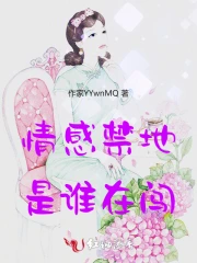 情感禁区是谁唱的