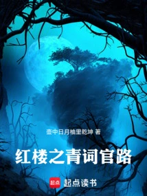 红楼之青词官路免费