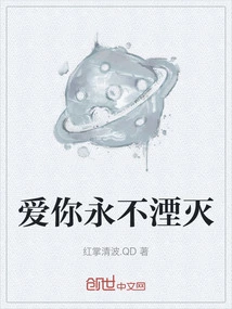 爱你永不湮灭什么意思