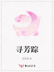 寻芳踪小说正版免费阅读