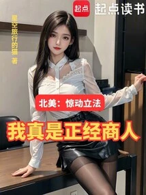北美：惊动立法，我真是正经商人