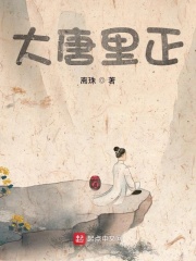 大唐正德年间